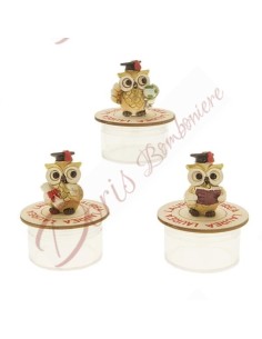 Plexiglass graduation favors with resin owl assorted models