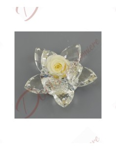 Faveur de fleur en cristal avec rose déshydratée stabilisée couleur crème 8 pétales avec boîte led cm 8