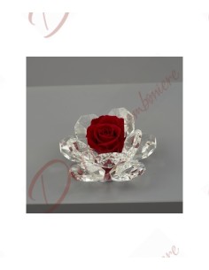 Bomboniere fiore stabilizzato rosa colore rosso con base in cristallo LED 11 petali H.9X9X6CM