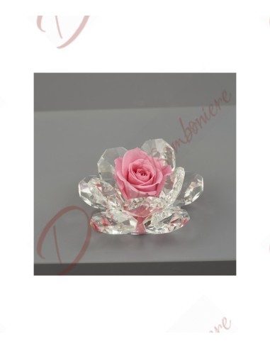 Bomboniere fiore stabilizzato rosa colore rosa con base in cristallo LED 11 petali H.9X9X6CM