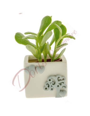 Plant pot favors with tree of life succulent plant cm 8x6.5 avion collection.