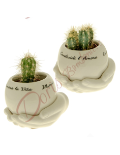 Favorise les mains avec porte-plante sphère en porcelaine blanche 2 modèles assortis avec phrase 11x8 cm