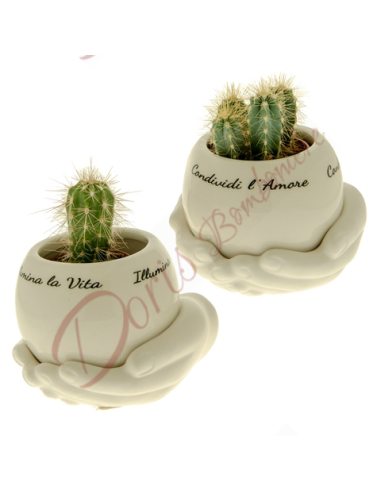 Bomboniere mani con sfera vaso porta pianta in porcellana bianca 2 modelli assortiti con frase cm 11x8
