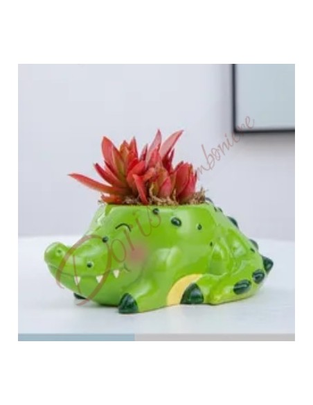 Baptism favors communion confirmation baby girl fat plant crocodile green ceramic Baptism favors communion confirmation baby girl fat plant crocodile green ceramic