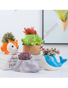 Bomboniere battesimo comunione cresima bambino bambina piantina grassa coccodrillo verde in ceramica 2
