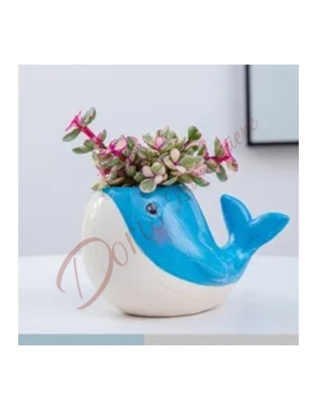 Bomboniere balena vaso in ceramica porta piantina grassa tema mare battesimo comunione cresima Bomboniere balena vaso in ceramica porta piantina grassa tema mare battesimo comunione cresima