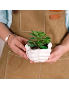 Favors succulent plant pot holder hands that form a white porcelain jar 2