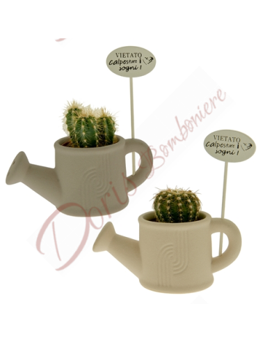 Favors pot plant holder in ceramic sprinkler forbidden to trample on dreams cm 7 h x 14