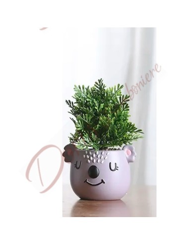 Bomboniere battesimo bimba femminuccia vaso porta pianta animale koala