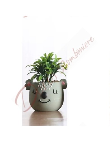 Baptism favors for boy or girl green Koala animal plant pot