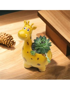 Bomboniera vaso per pianta grassa a forma di giraffa gialla dolce e orginale