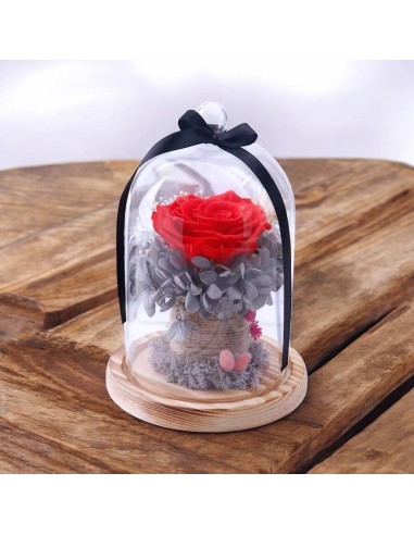 Campana in Vetro con Rosa Stabilizzata Eterna Articolo Regalo e Bomboniera di Pregio