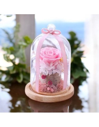 Campana in Vetro con Rosa Stabilizzata Eterna Articolo Regalo e Bomboniera di Pregio
