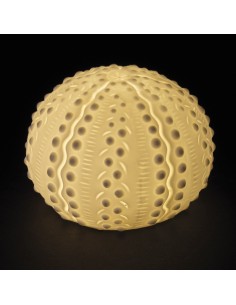 Lampe LED Oursin en Porcelaine, 6,2 cm - Élégante Lampe Design