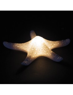 Étoile de mer LED en porcelaine, 14,6 cm – Cadeau de fête élégant et original sur le thème de la mer