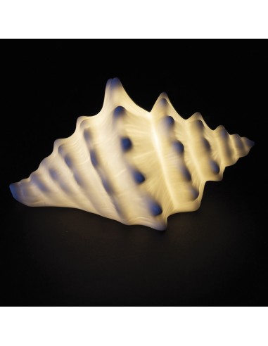 Coquillage LED en porcelaine, 15 x 10,5 x 8,2 cm – Cadeau de fête élégant et décoratif sur le thème de la mer