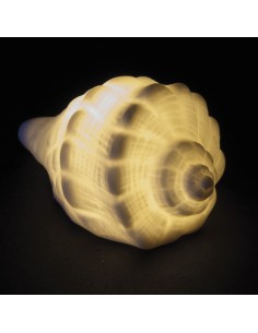 Coquillage LED en porcelaine, 8 x 5,5 x 3,8 cm – Cadeau d'invité raffiné et lumineux sur le thème de la mer