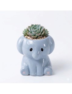 Elefantino portapiantina in ceramica azzurra – 7,3 × 6,5 cm | Doris