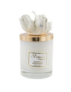 Candela liscia con tulipani color bianco, grande | Matrimonio 2027