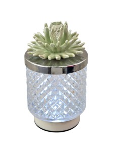 Favour: lamp Diamond with decorative coral, green, medium size – Ø