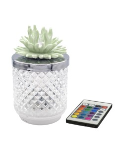 Bomboniera lampada Diamond con corallo decorativo, LED, verde