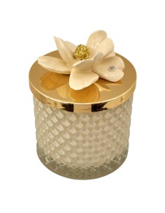 Bougie souvenir : Diamond Capodimonte Punto Oro, beige vison, doré