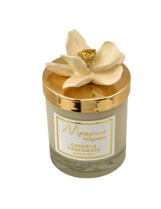 Bougie souvenir : lisse Capodimonte Punto Oro, beige vison, doré