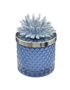 Bomboniera candela Diamond con corallo decorativo, blu, media alta