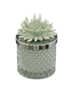 Bomboniera candela Diamond con corallo decorativo, verde, media