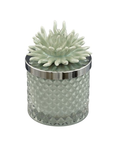 Bougie souvenir : Diamond avec corail décoratif, vert, format moyen