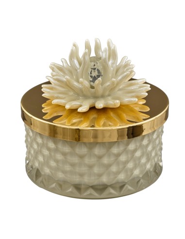 Bomboniera candela Diamond con corallo decorativo, visone, grande
