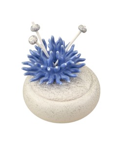 Diffuseur souvenir : avec corail décoratif, rond, bleu, forme basse