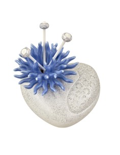 Bomboniera profumatore con corallo decorativo, a cuore, blu