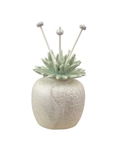 Diffuser favour: with decorative coral, round, green, tall shape