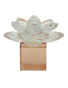 Cube en cristal avec fleur Iris souvenir, Prisma, saumon, format