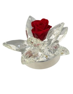 Fleur LED avec pétales en Forex et rose stabilisée souvenir, rouge