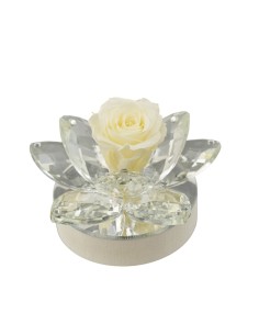 Bomboniera fiore LED con petali in Forex e rosa stabilizzata