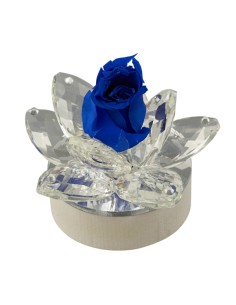 Bomboniera fiore LED con petali in Forex e rosa stabilizzata, blu