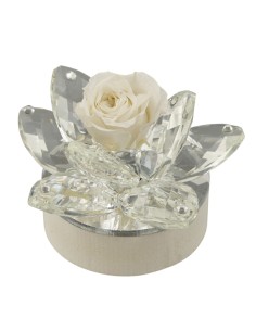 Fleur LED avec pétales en Forex et rose stabilisée souvenir