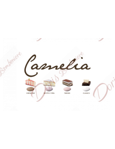 Maxtris Nuance Camelia 1 kg 2