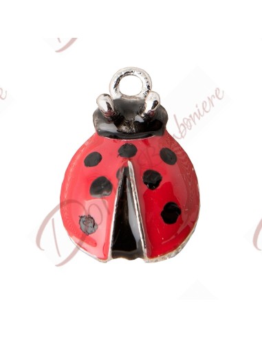 Graduation symbol and or lucky charm for other occasions. Red ladybug in metal