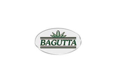 Bagutta